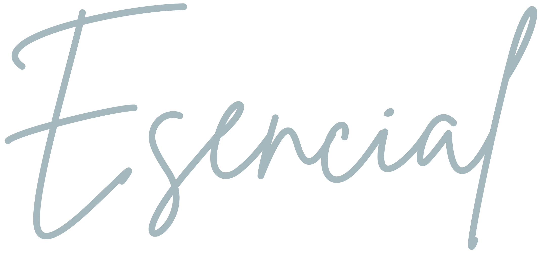 Esencial · María Bear