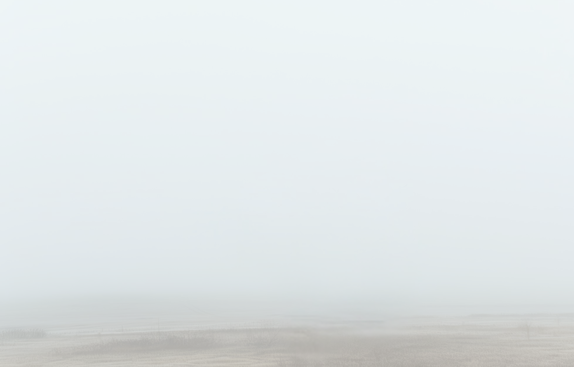 María Bear · Depende