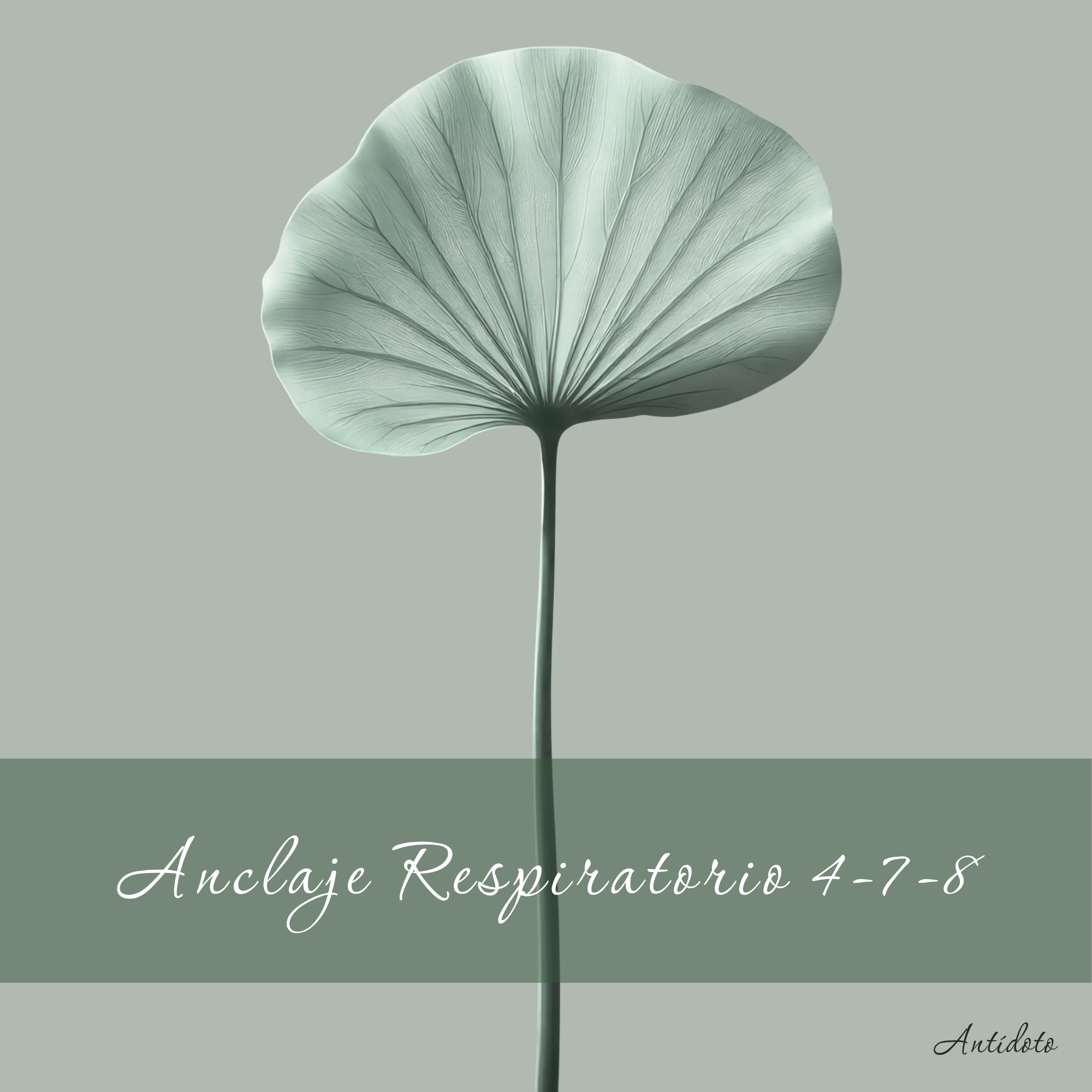 Antídoto: Anclaje Respiratorio 4-7-8