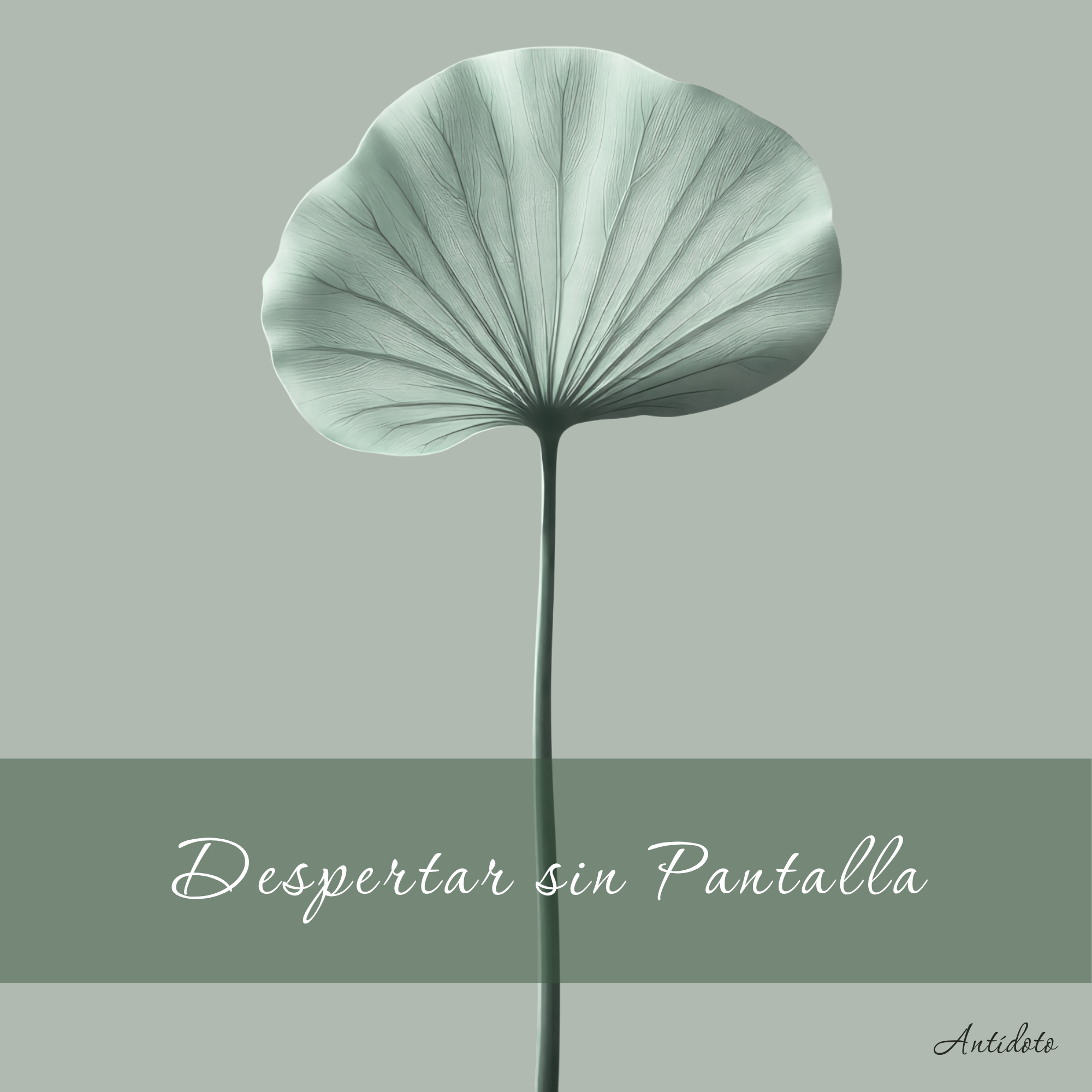 Antídoto: Despertar sin Pantalla