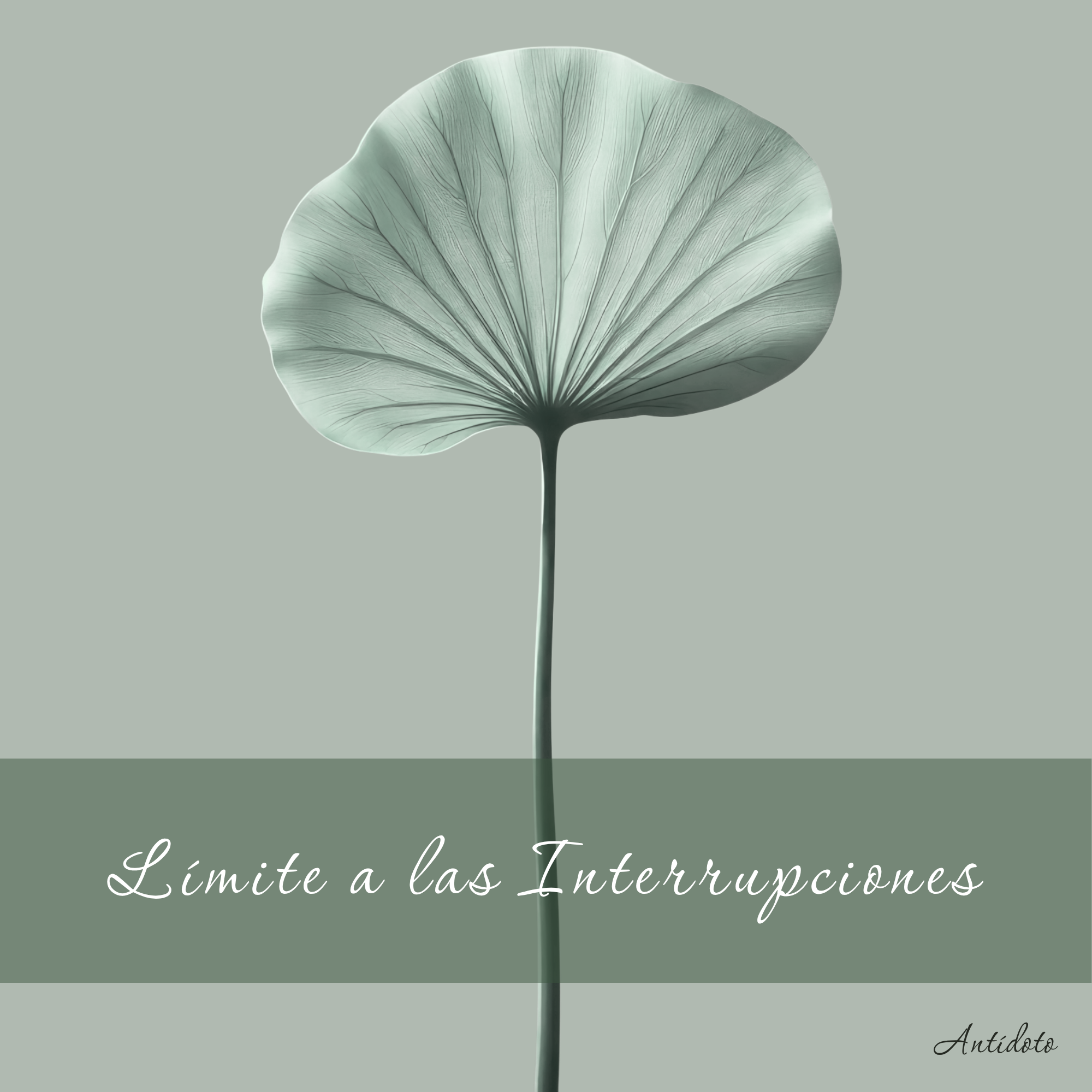 Antídoto: Límite a las Interrupciones