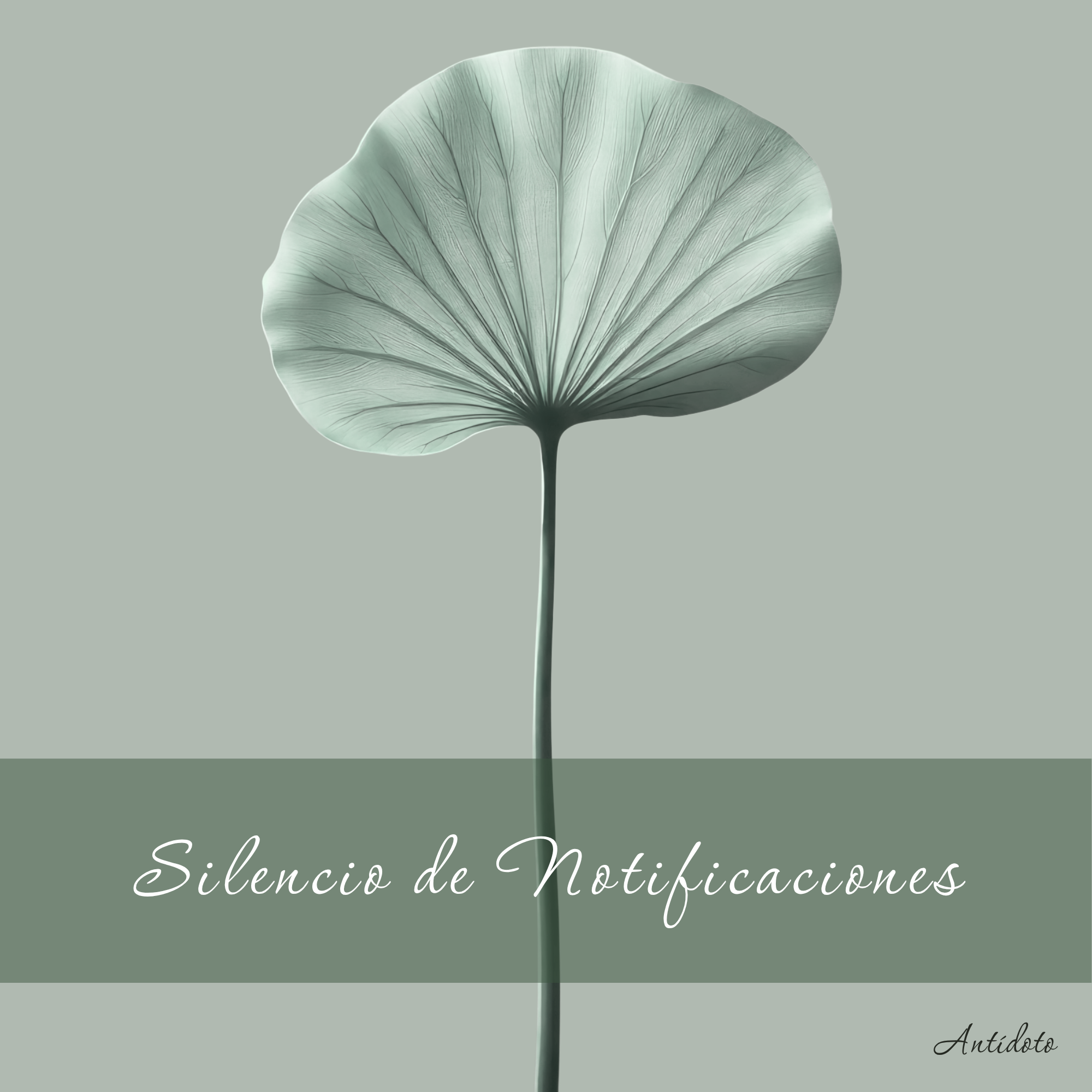 Antídoto: Silencio de Notificaciones